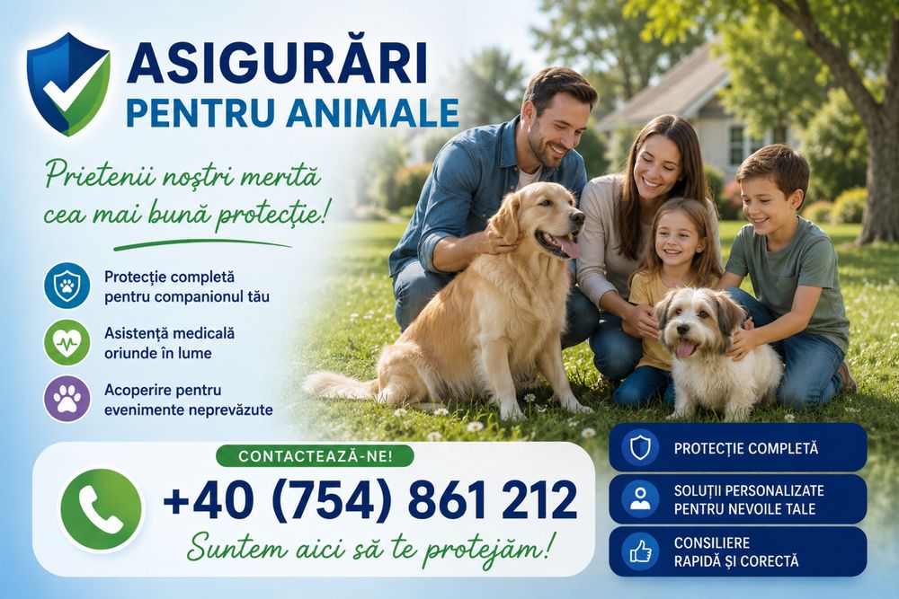Asigurări RCA, CASCO, Locuință ,Viață și Animale | Ofertă Rapidă și Avantajoasă