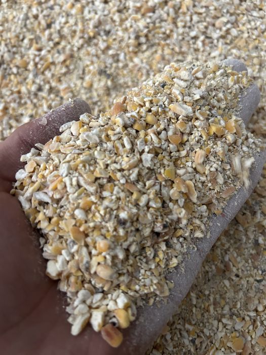 Кукуруза дробленная и цельная