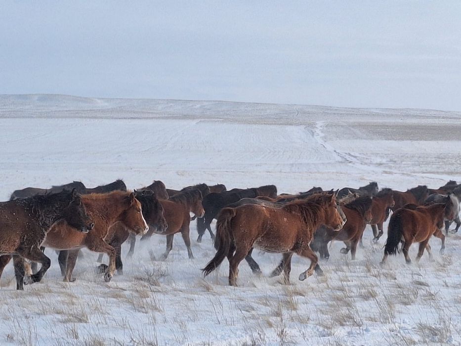 Фермерское хозяйство