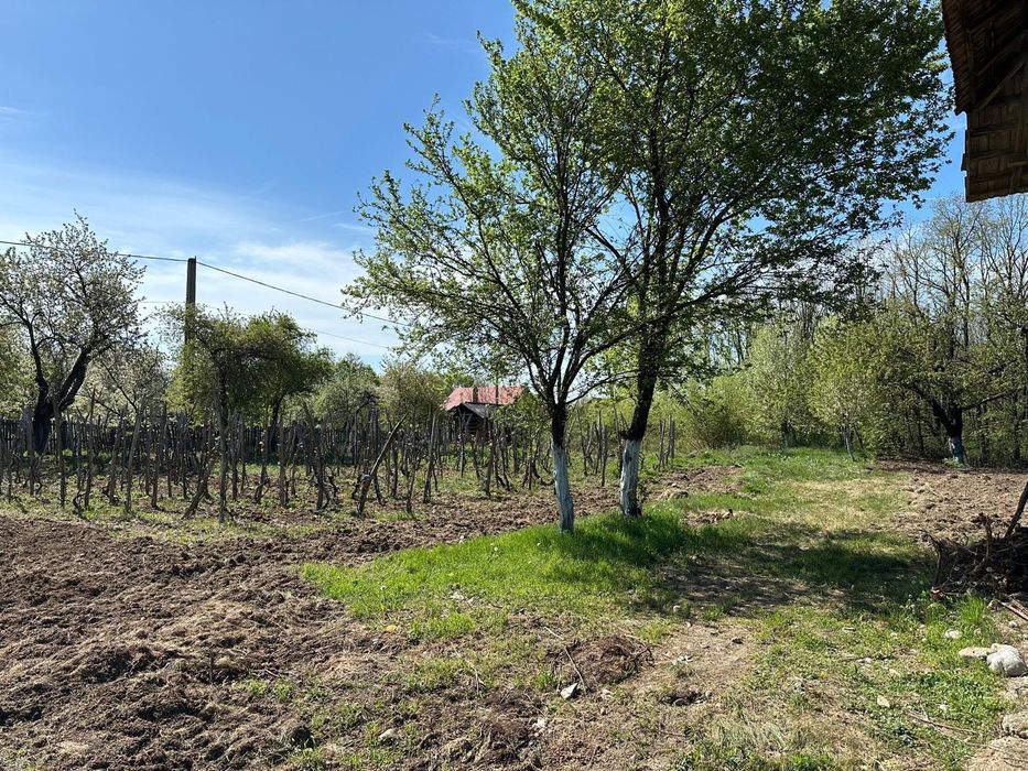 Vând teren cu potențial