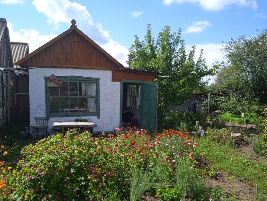 Продам дачу сад южный