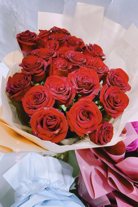 Красные розы метровые срочно продаю