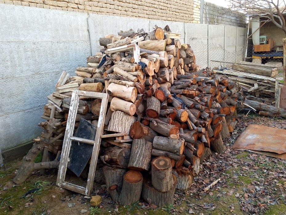 Otinlar yaxshi holatda