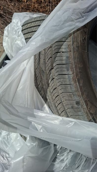 Новый ризина 245.60r18