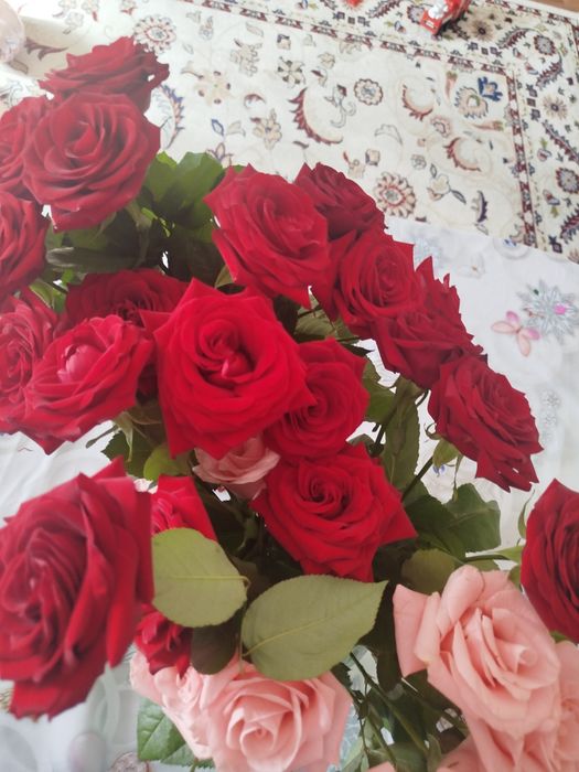 Розы в прекрасном состоянии