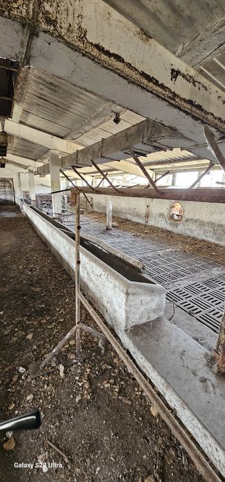Grătare din fontă pentru pardoseli ferme zootehnice