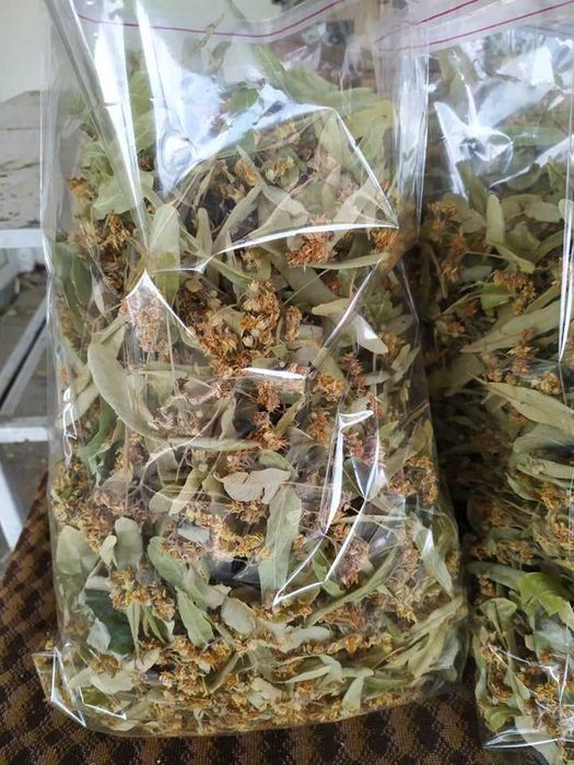 Сушен липов цвят- реколта 2025 г.