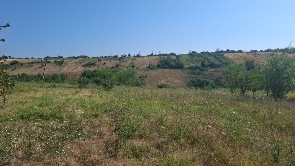 Vand teren comuna Mischii, sat Calinesti