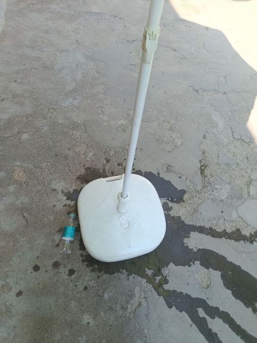 Zonti naves yengi
