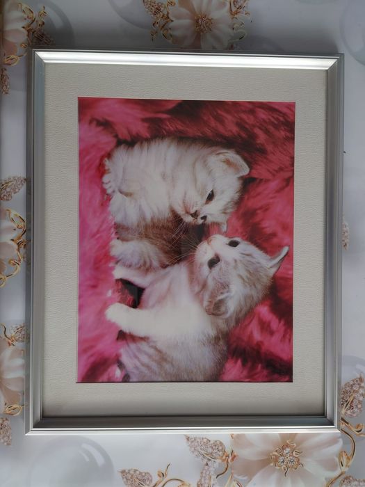 Фоторамка Konica из алюминия