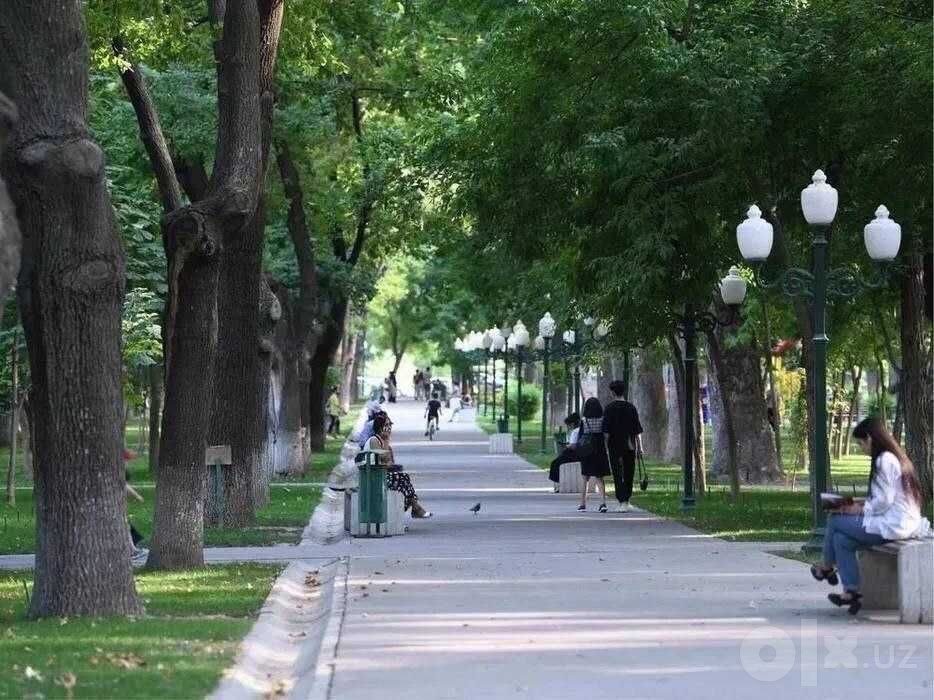 Ijara arenda metro oybek va kosmonavtlar akuratniy 1 ta sherik bola kk