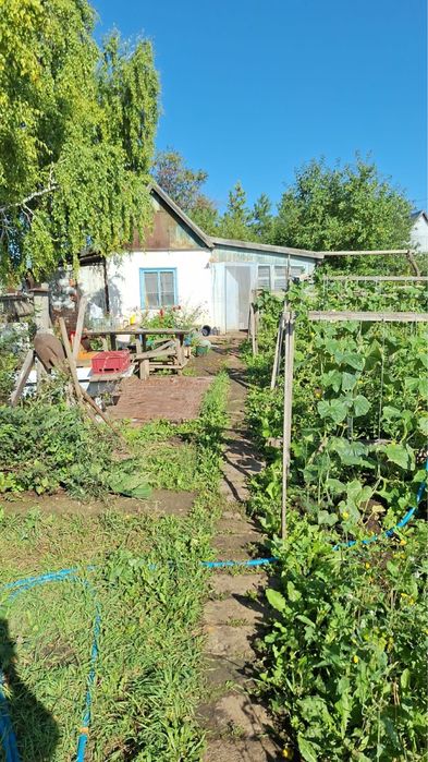 Продам дачу 12 соток