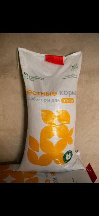 Цыплята. Бройлер