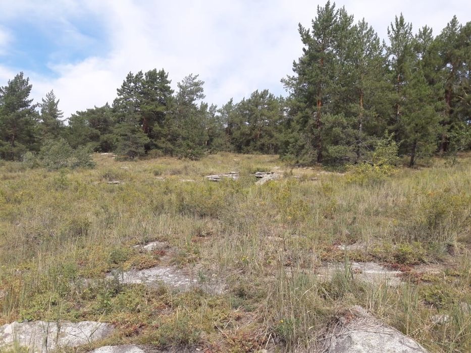 Участки на Голубом Заливе