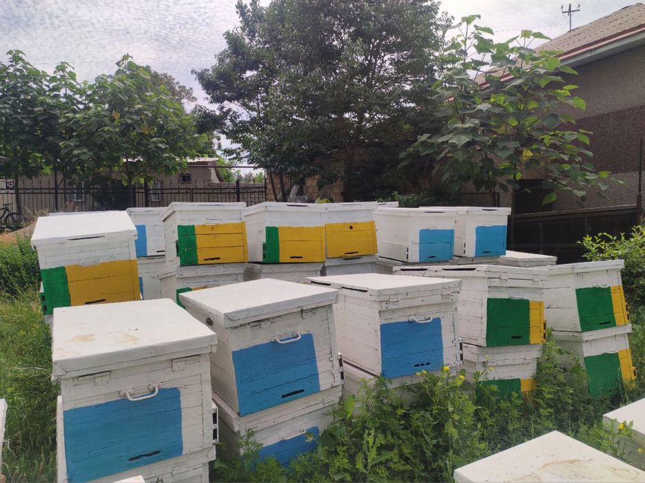 Продаю пчеловодный прицеп