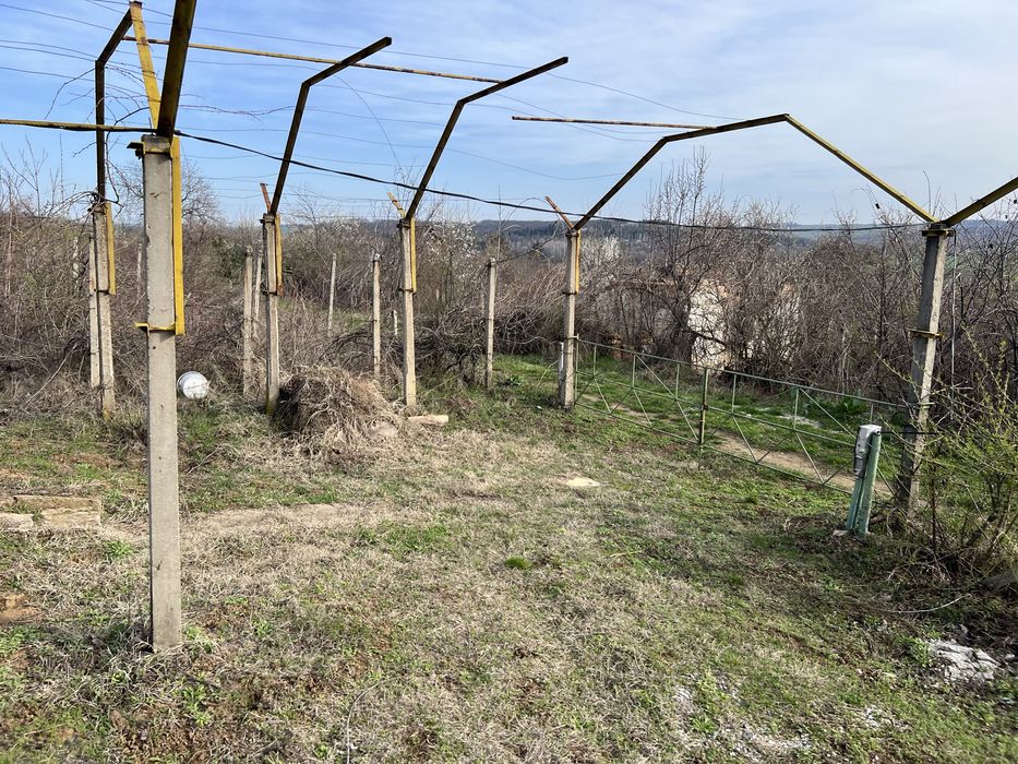 Вила в местност Нежовец Плевен