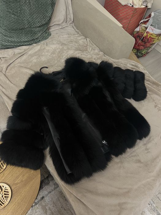 Haina blana vulpe polara