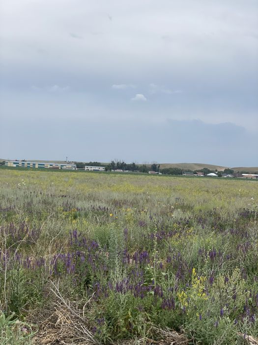 Участок в п.Дружба