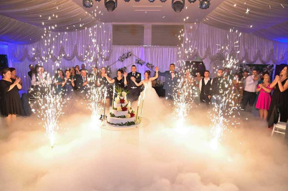 Porumbei albi nunta Braila Galati