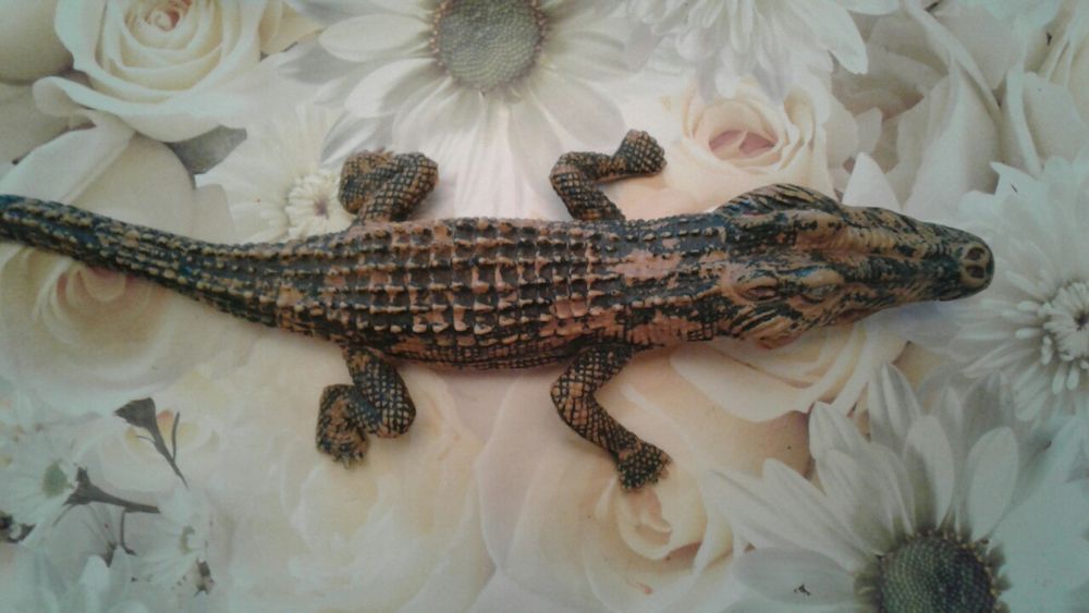 Крокодил.  Макет, модель, экземпляр.