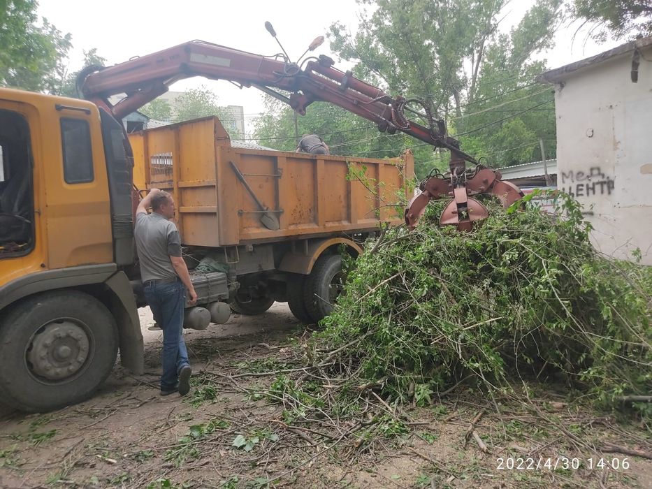 Спил,пилим деревья