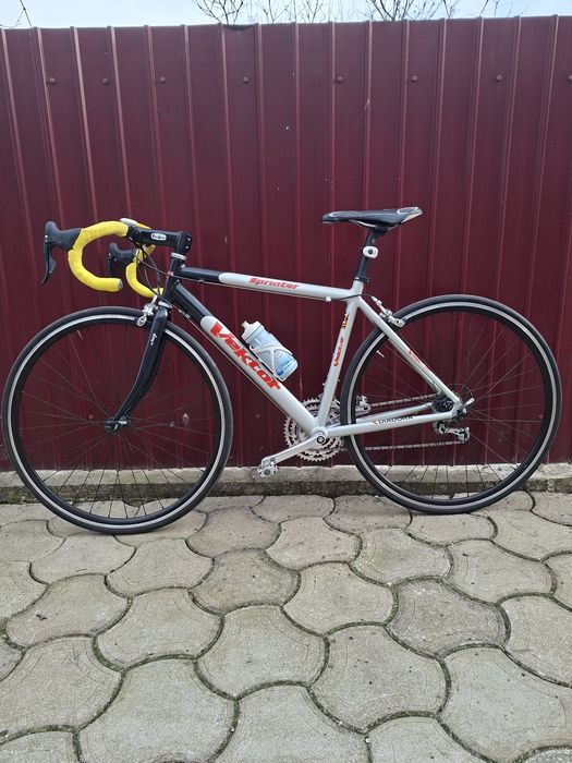 Cursiera Campagnolo Vektor