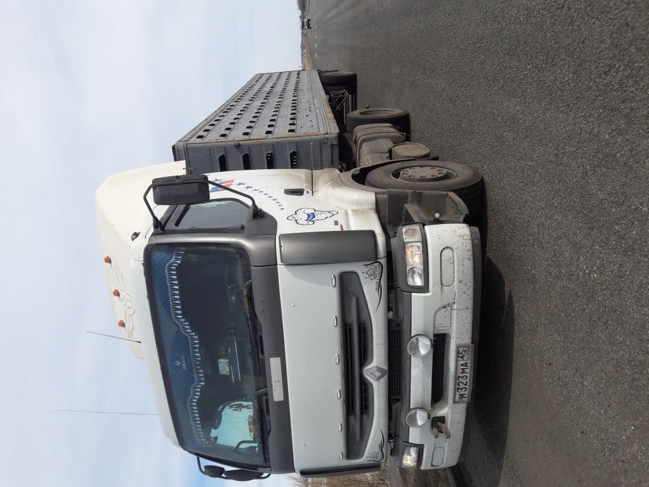 Скотовоз. Перевозка животных.