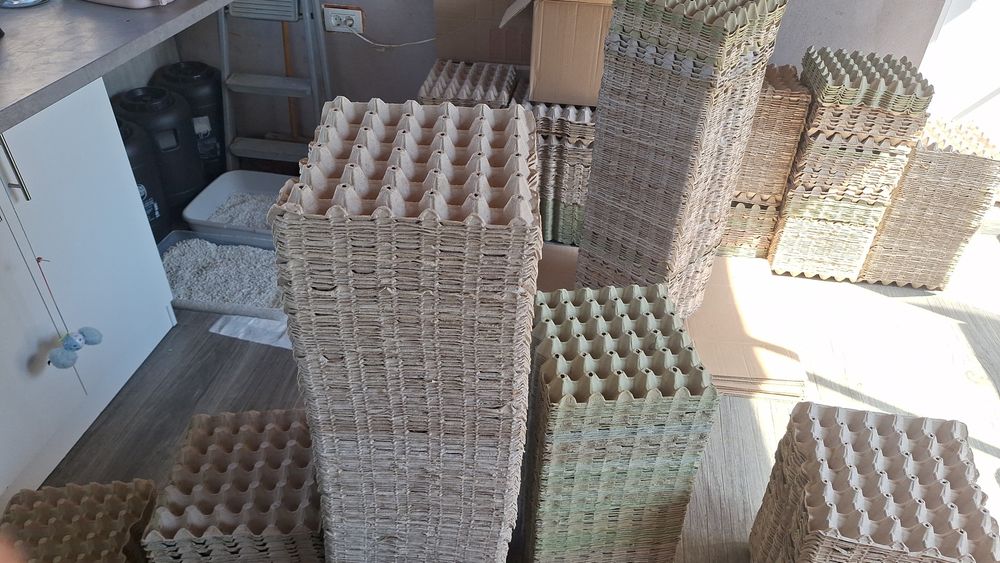 Vand cofraje de oua