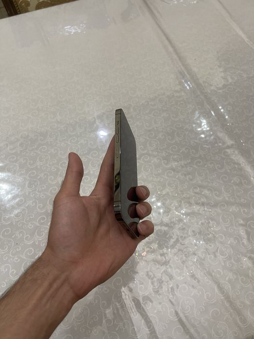 Iphone 13 pro max radnoy