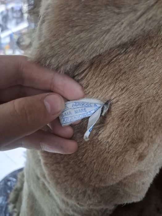 Haina de blana anii 90