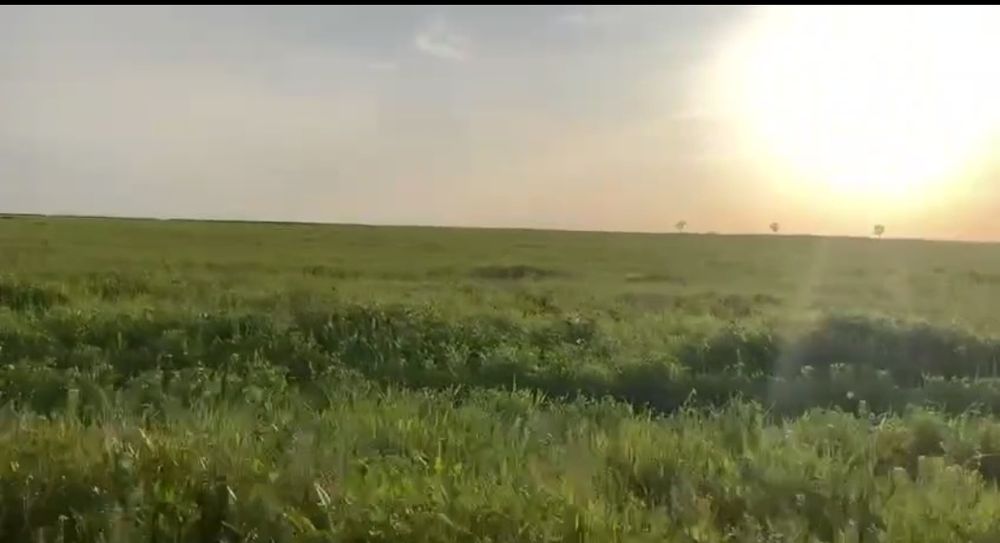 Срочно 1 гектар КХ