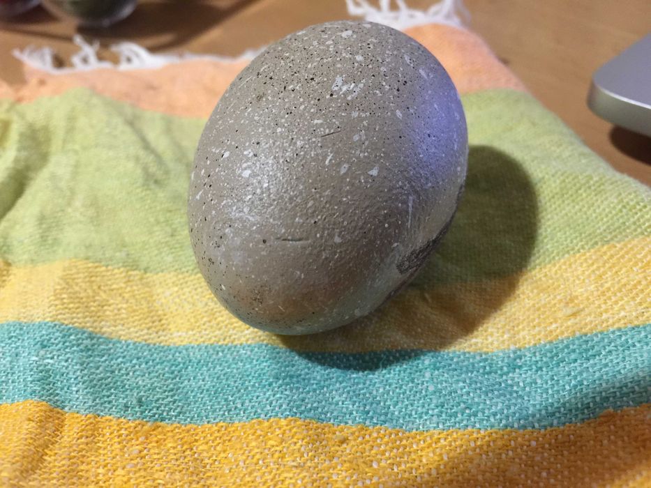 Великденско яйце, дървено №3 - заек