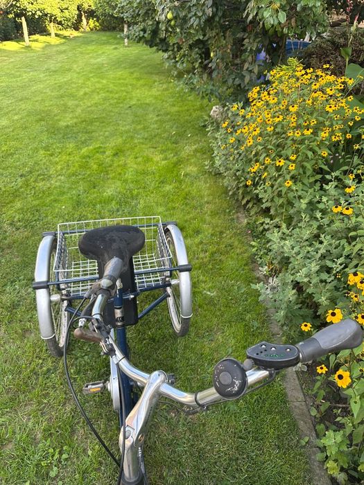 Tricicletă electrică