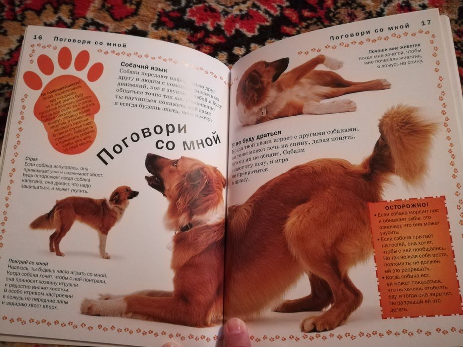 Книга по уходу собаки