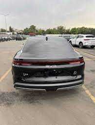 BYD Han L2ta matorli pod zakaz