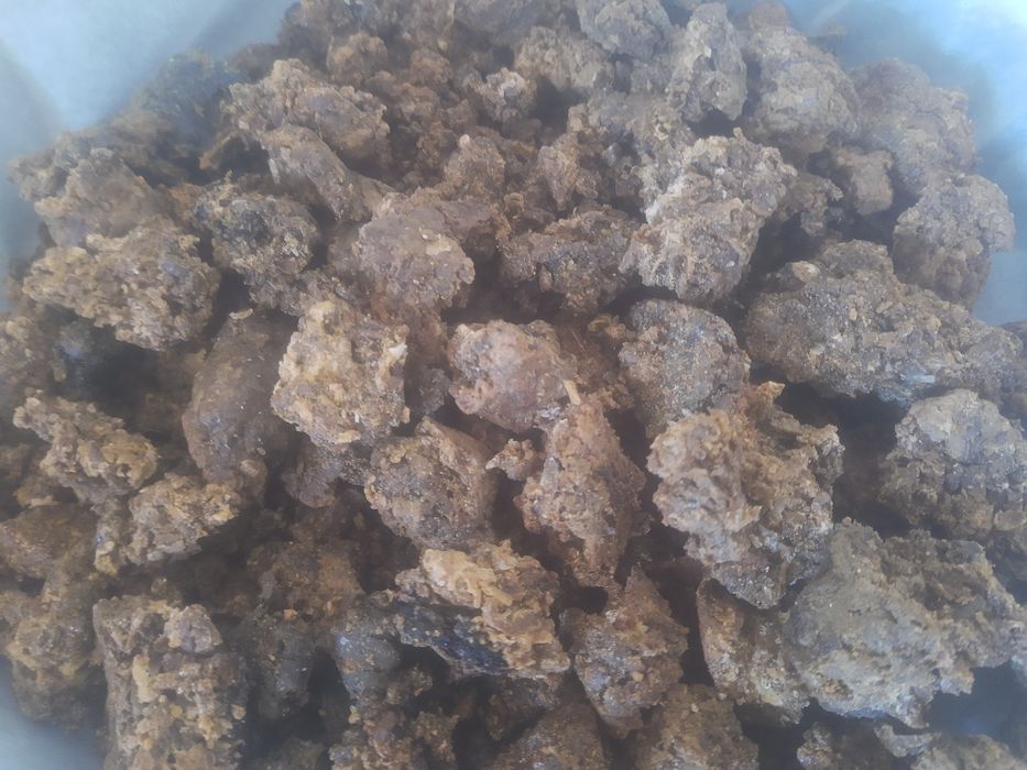 Пчелен клей (Прополис) 700 грама
