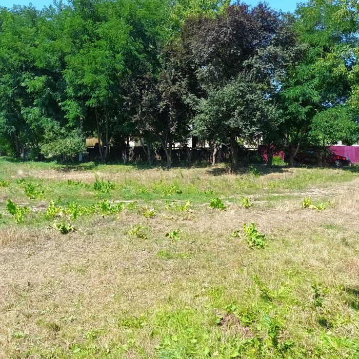 Vand teren intravilan sat Gura Vaii comuna Girov