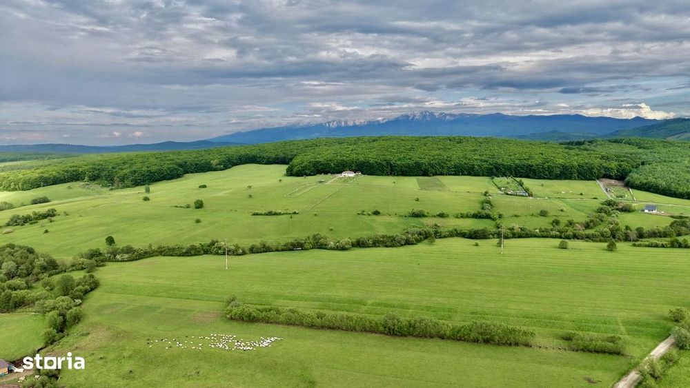 Teren intravilan 1000 mp Tocile, panoramă superbă spre munți