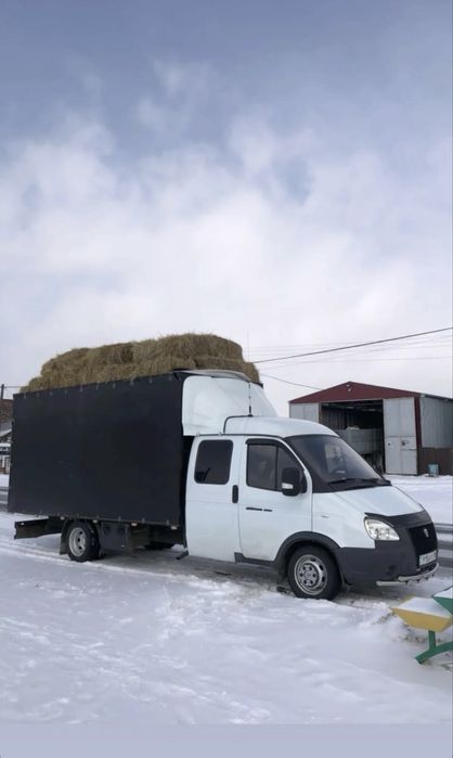 Сено тюковое 850тнг