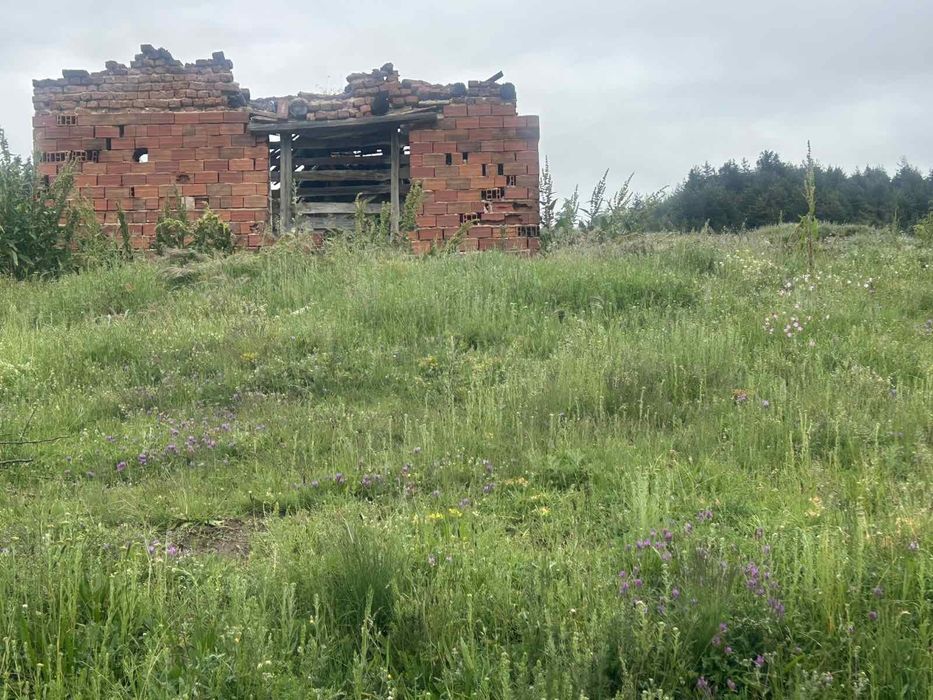 Продава се Парцел в с. Баня, Област Благоевград - 500 кв.м за 31 €/кв.м - Снимка #5