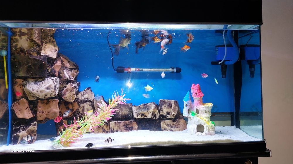 Akvarium akril komplekt