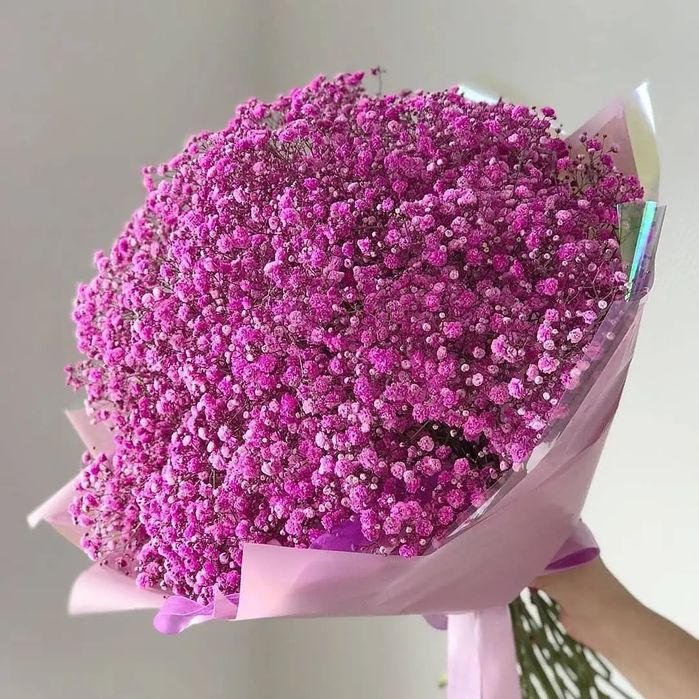 Цветы Каскелен,  Гүлдер