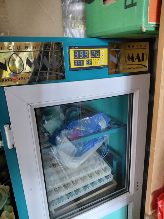 Инкубатор для яиц