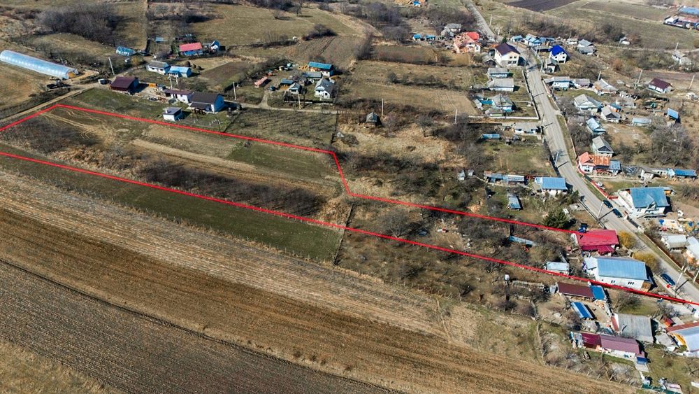 Vand casa si magazin