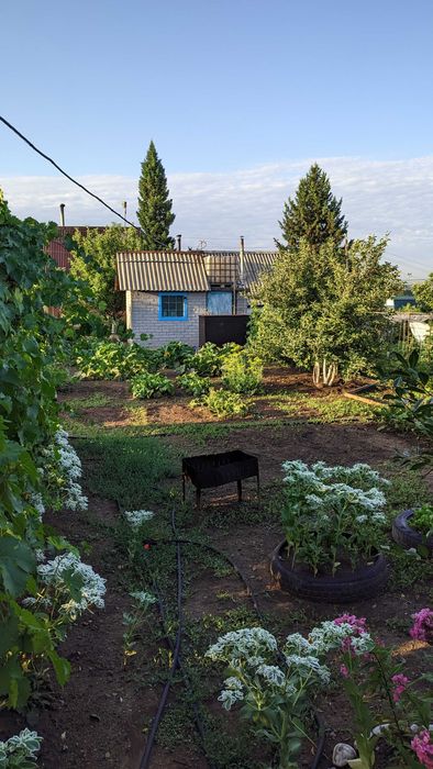 Продается дача возле села Кожохово