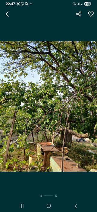 Дача продам 3 дачный