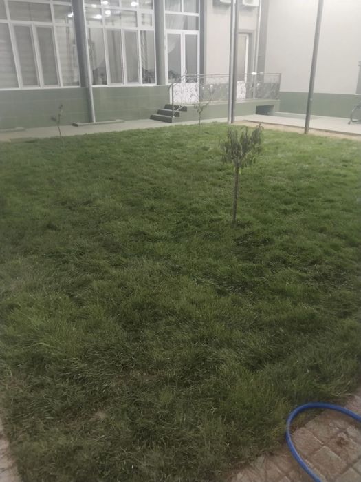 Gazon hizmat uyingiz korkamligi