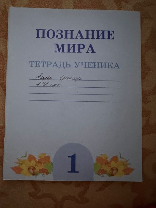 1 класс рабочие тетради