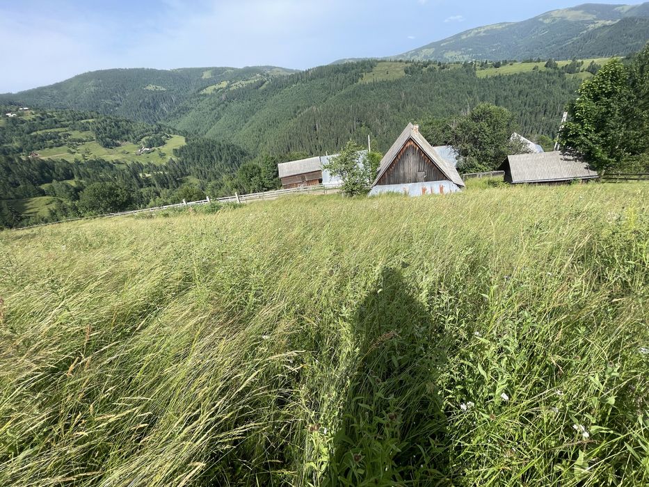 Vand teren + casa veche, suprafata 4000 mp situat langa drum principal