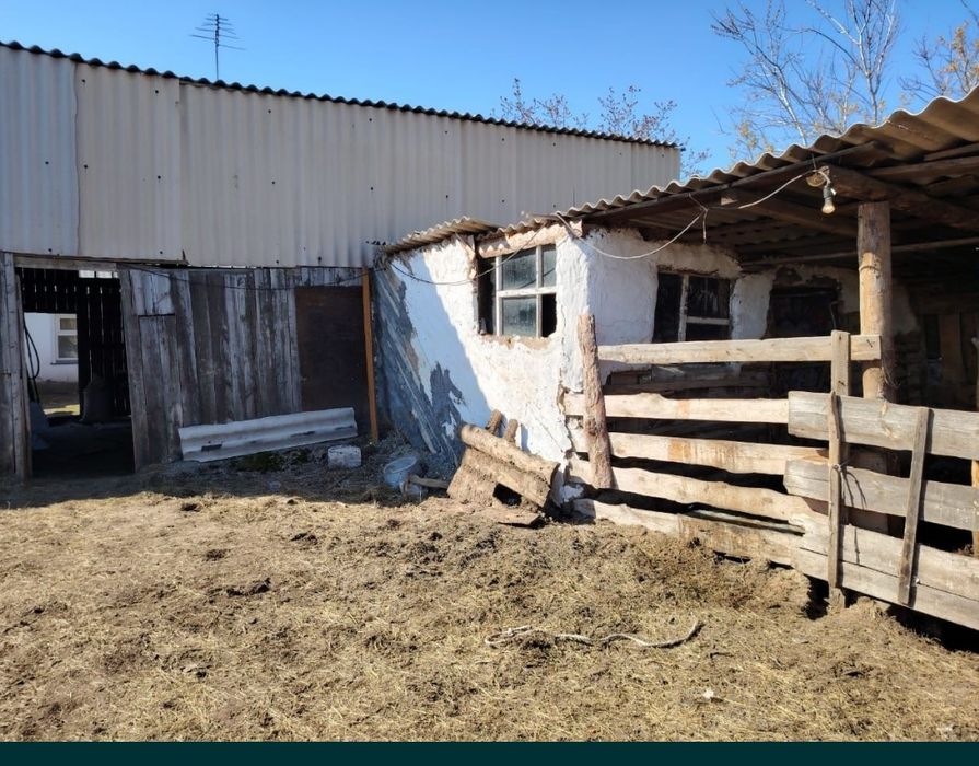 Продам дом сарай